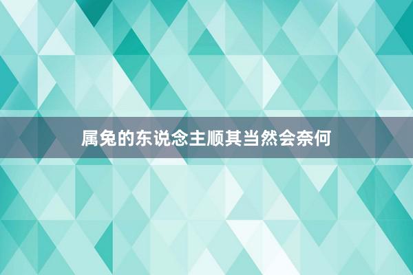 属兔的东说念主顺其当然会奈何