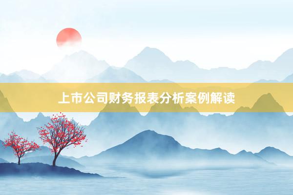 上市公司财务报表分析案例解读