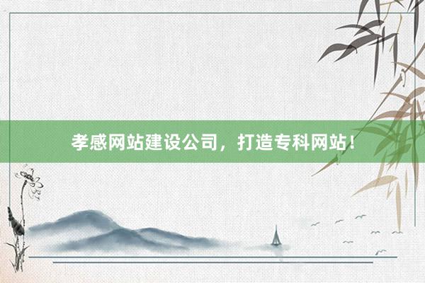 孝感网站建设公司，打造专科网站！